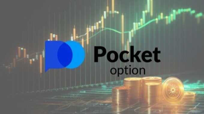 Maximize Your Trading Potential with Pocket Option