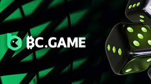 Discover the World of BC.Game Online Casino Platform