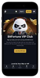 Step-by-Step Setup of Bitfortune Live Tables