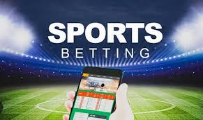 Discovering the Exciting World of Betwinner A Comprehensive Guide